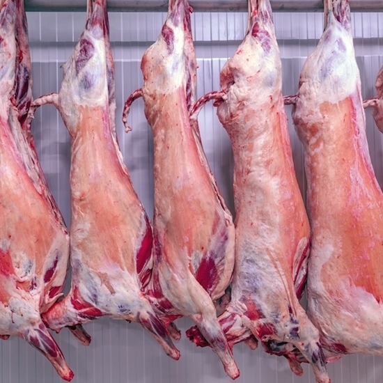 Fresh chilled mutton carcass